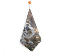FekiLoot English Bulldogs Hand Towels for Kitchen, Square Small Towel with Hanging Loop for Bathroom, Absorbent Soft Hand Towels for Travel, Quick Dry Towel for Home, Gym 1PCS