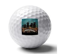 FekiLoot Four Black Cats Lying on The Piano Keyboard Practice Golf Ball for Putting Practice and Training,Golf Ball with Easy Control Soft Feel