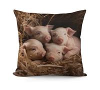 FekiLoot Four Little Pigs Pillow Covers with Zipper for Sofa, Soft Plush Pillowcase for Living Room, Cozy Fluffy Cushion Covers for Bedroom, Breathable Throw Pillow Cover for Hotel, 18 in