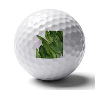 FekiLoot Fresh Banana Leaves Practice Golf Ball for Putting Practice and Training,Golf Ball with Easy Control Soft Feel