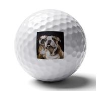 FekiLoot Funny English Dog Practice Golf Ball for Putting Practice and Training,Golf Ball with Easy Control Soft Feel