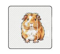 FekiLoot Funny Guinea Pig Picnic Blanket Beach Mat 150x150cm