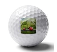 FekiLoot Funny Ladybug Holding Umbrellas Practice Golf Ball for Putting Practice and Training,Golf Ball with Easy Control Soft Feel