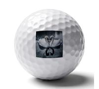 FekiLoot Geese on The River Practice Golf Ball for Putting Practice and Training,Golf Ball with Easy Control Soft Feel
