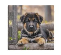 FekiLoot German Shepherd Puppy Seat Cushion Memory Foam Upholstery Chair Cushion with Removable Cover Square Large Pillows Seating Floor Support Pillow for Car Office Kitchen Couch