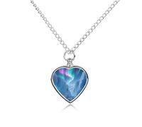 FekiLoot Glacier Canyon Urn Necklace Heart, Cremation Jewelry with Funnel Kit Keepsake,Ashes Necklace for Dog Cat Love Women And Men