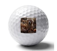 FekiLoot Golden Retriever and Flowers Practice Golf Ball for Putting Practice and Training,Golf Ball with Easy Control Soft Feel