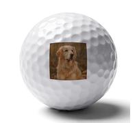FekiLoot Golden Retriever Practice Golf Ball for Putting Practice and Training,Golf Ball with Easy Control Soft Feel