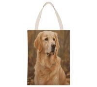 FekiLoot Golden Retriever Shopping Bag Canvas Tote Bag