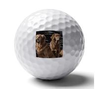 FekiLoot Golden Retrievers Practice Golf Ball for Putting Practice and Training,Golf Ball with Easy Control Soft Feel