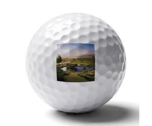 FekiLoot Golf Resort Park Practice Golf Ball for Putting Practice and Training,Golf Ball with Easy Control Soft Feel