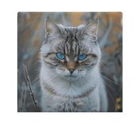 FekiLoot Gray and White Cat Seat Cushion Memory Foam Upholstery Chair Cushion with Removable Cover Square Large Pillows Seating Floor Support Pillow for Car Office Kitchen Couch