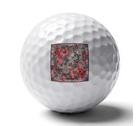 FekiLoot Gray Butterfly Pattern Practice Golf Ball for Putting Practice and Training,Golf Ball with Easy Control Soft Feel