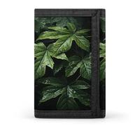 FekiLoot Green Leaves Pattern Wallets Exquisite Trifold Wallet Front Pocket Wallet with Zipper Keychain Coin Purse Credit Card Holder for Adult