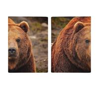 FekiLoot Grizzly Bear PU Leather Passport Cover Slim Lightweight Travel Passport Holder with Card Slots Durable Anti-Scratch Protective Case for Holiday Business Trip Travel Essential