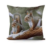 FekiLoot Little Squirrel Throw Pillow Covers Luxury Soft Plush Cushion Cover Pillowcase Square Cushion Case Decoration for Living Room Couch Bed Sofa 18" X 18"