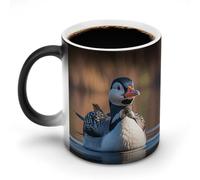FekiLoot Loon Nature Bird Color Changing Mug Heat Changing Mug Ceramic Mug Heat Reactive Black Mug Tea Cup Message Appears As It Heats Birthday Holiday Gift for Family Friend