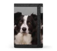 FekiLoot Money Clip Slim Wallets for Man, Border Collie Trifold Wallet with ID Window, Extra Capacity Coin Pocket with Zipper for Anniversary, Birthday, Valentine's Day Gift