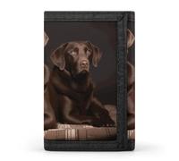 FekiLoot Money Clip Slim Wallets for Man, Brown Labrador Retriever Trifold Wallet with ID Window, Extra Capacity Coin Pocket with Zipper for Anniversary, Birthday, Valentine's Day Gift