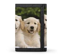 FekiLoot Money Clip Slim Wallets for Man, Golden Retriever Puppies Trifold Wallet with ID Window, Extra Capacity Coin Pocket with Zipper for Anniversary, Birthday, Valentine's Day Gift
