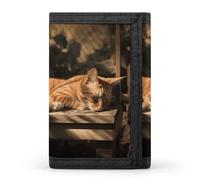 FekiLoot Orange Cat Sleeping Wallet Compact Blocking Trifold Wallets with Zipper Minimalist Purse Wallet Credit Card Holder