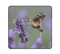 FekiLoot Outdoor Picnic Blanket Waterproof Foldable Beach Blankets Crab on Coconut Shoes Extra Large Lightweight Picnic Mat for Beach, Spring Camping Grass Lawn Park Accessories 200x200cm