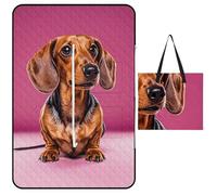 FekiLoot Outdoor Picnic Blanket Waterproof Foldable Beach Blankets Dachshund Weiner Dog Extra Large Lightweight Picnic Mat for Beach, Spring Camping Grass Lawn Park Accessories 150x100cm