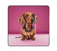 FekiLoot Outdoor Picnic Blanket Waterproof Foldable Beach Blankets Dachshund Weiner Dog Extra Large Lightweight Picnic Mat for Beach, Spring Camping Grass Lawn Park Accessories 150x150cm