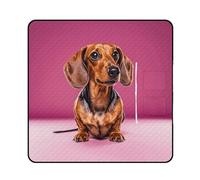 FekiLoot Outdoor Picnic Blanket Waterproof Foldable Beach Blankets Dachshund Weiner Dog Extra Large Lightweight Picnic Mat for Beach, Spring Camping Grass Lawn Park Accessories 200x200cm