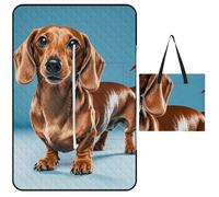 FekiLoot Outdoor Picnic Blanket Waterproof Foldable Beach Blankets Dachshund Weiner Pet Dog Extra Large Lightweight Picnic Mat for Beach, Spring Camping Grass Lawn Park Accessories 150x100cm