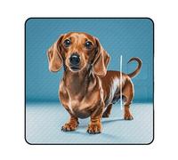 FekiLoot Outdoor Picnic Blanket Waterproof Foldable Beach Blankets Dachshund Weiner Pet Dog Extra Large Lightweight Picnic Mat for Beach, Spring Camping Grass Lawn Park Accessories 200x200cm