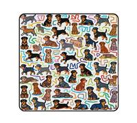 FekiLoot Outdoor Picnic Blanket Waterproof Foldable Beach Blankets Little Rottweiler Doodle Extra Large Lightweight Picnic Mat for Beach, Spring Camping Grass Lawn Park Accessories 200x200cm