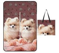 FekiLoot Outdoor Picnic Blanket Waterproof Foldable Beach Blankets Pomeranians Puppies and Point Extra Large Lightweight Picnic Mat for Beach, Spring Camping Grass Lawn Park Accessories 150x100cm