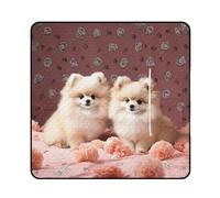 FekiLoot Outdoor Picnic Blanket Waterproof Foldable Beach Blankets Pomeranians Puppies and Point Extra Large Lightweight Picnic Mat for Beach, Spring Camping Grass Lawn Park Accessories 200x200cm