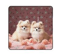 FekiLoot Outdoor Picnic Blanket Waterproof Foldable Beach Blankets Pomeranians Puppies and Point Extra Large Lightweight Picnic Mat for Beach, Spring Camping Grass Lawn Park Accessories 150x150cm