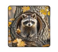 FekiLoot Outdoor Picnic Blanket Waterproof Foldable Beach Blankets Raccoon in The Fall Tree Hole Extra Large Lightweight Picnic Mat for Beach, Spring Camping Grass Lawn Park Accessories 150x150cm