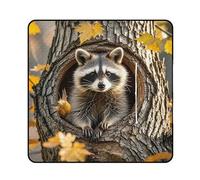 FekiLoot Outdoor Picnic Blanket Waterproof Foldable Beach Blankets Raccoon in The Fall Tree Hole Extra Large Lightweight Picnic Mat for Beach, Spring Camping Grass Lawn Park Accessories 200x200cm