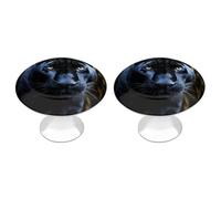 FekiLoot Panther with Blue Eyes Cabinet Knobs Stainless Steel Aluminum Drawer Knobs for Kitchen Cupboard Door Round Cabinet Handles Bedroom Dresser with Screws Drawer Pulls 2 Pack