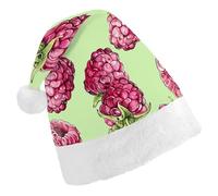 FekiLoot Peach Raspberry Pattern Christmas Hat Cap with Plush Trim Warm Xmas Hats Headwear for Winter Holiday Party Supply