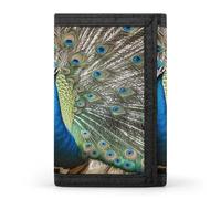 FekiLoot Peacock Pattern Men's Wallet Extra Capacity Trifold Wallet Thin & Stylish Trifold Card Holder with ID Window