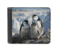FekiLoot Penguin Parents And Chicks Antarctica Large Wallet Fashionable Slim Leather Wallet with Multiple Card Slots And Hidden Compartments Wallets