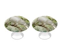 FekiLoot Pigeon Magnolia Bloom Cabinet Knobs Kitchen Cabinet Handles Round Closet Handles Stainless Steel Drawer Pulls for Closet Dresser Wardrobe Cupboard Furniture 2 Pack
