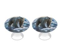FekiLoot Polar Bear Ice Cabinet Knobs for Kitchen Ornament, Round Zinc Decorative Drawer Pulls for Cabinets Trendy, Dresser Drawers Pulls Bathroom Dresser Knob with Screw