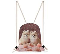 FekiLoot Pomeranians Puppies And Point Drawstring Backpack Sports Gym Bag Drawstring Bags Foldable Backpack for Women Men