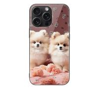 FekiLoot Pomeranians Puppies and Point for iPhone 15 Case Tempered Glass TPU Back Panel Shockproof with Anti-Fingerprint Phone Cover Black