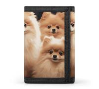 FekiLoot Pomeranians Puppies Trifold Wallet Slim Minimalist Front Pocket Men's Passcase Wallet Credit Card Holder