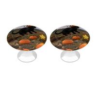 FekiLoot Pumpkin Witch Cat Cabinet Knobs Kitchen Cabinet Handles Round Closet Handles Stainless Steel Drawer Pulls for Closet Dresser Wardrobe Cupboard Furniture 2 Pack
