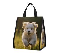FekiLoot Puppy Crossing The Grass Lunch Bag Insulated Lunchbox Bag Reusable Leakproof Tote Women Stylish Lunchboxs Bag for Women Men Work Office Travel