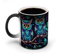 FekiLoot Purple And Green Owl Color Changing Mug Heat Changing Mug Ceramic Mug Heat Reactive Black Mug Tea Cup Message Appears As It Heats Birthday Holiday Gift for Family Friend