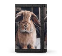 FekiLoot Rabbit on Bed Wallets Exquisite Trifold Wallet Front Pocket Wallet with Zipper Keychain Coin Purse Credit Card Holder for Adult